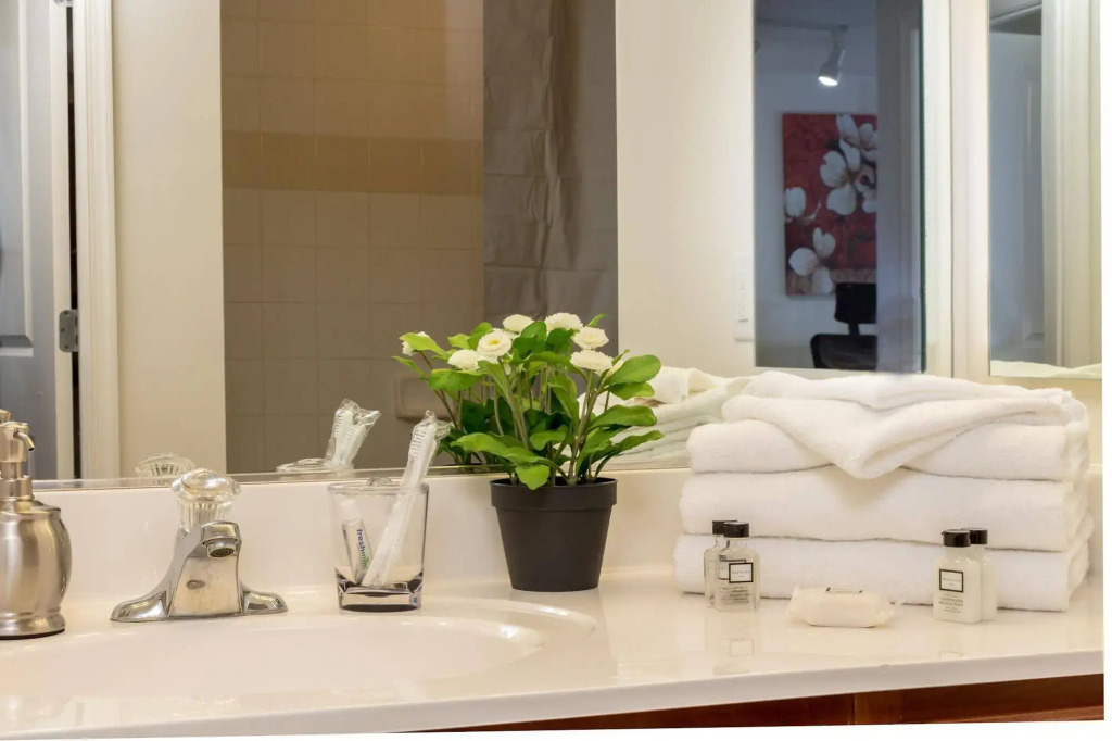 Fully Furnished Apartment in Washington near Logan Circle