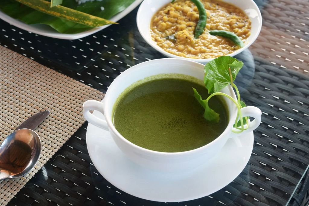 Terrace Green Hotel and Spa