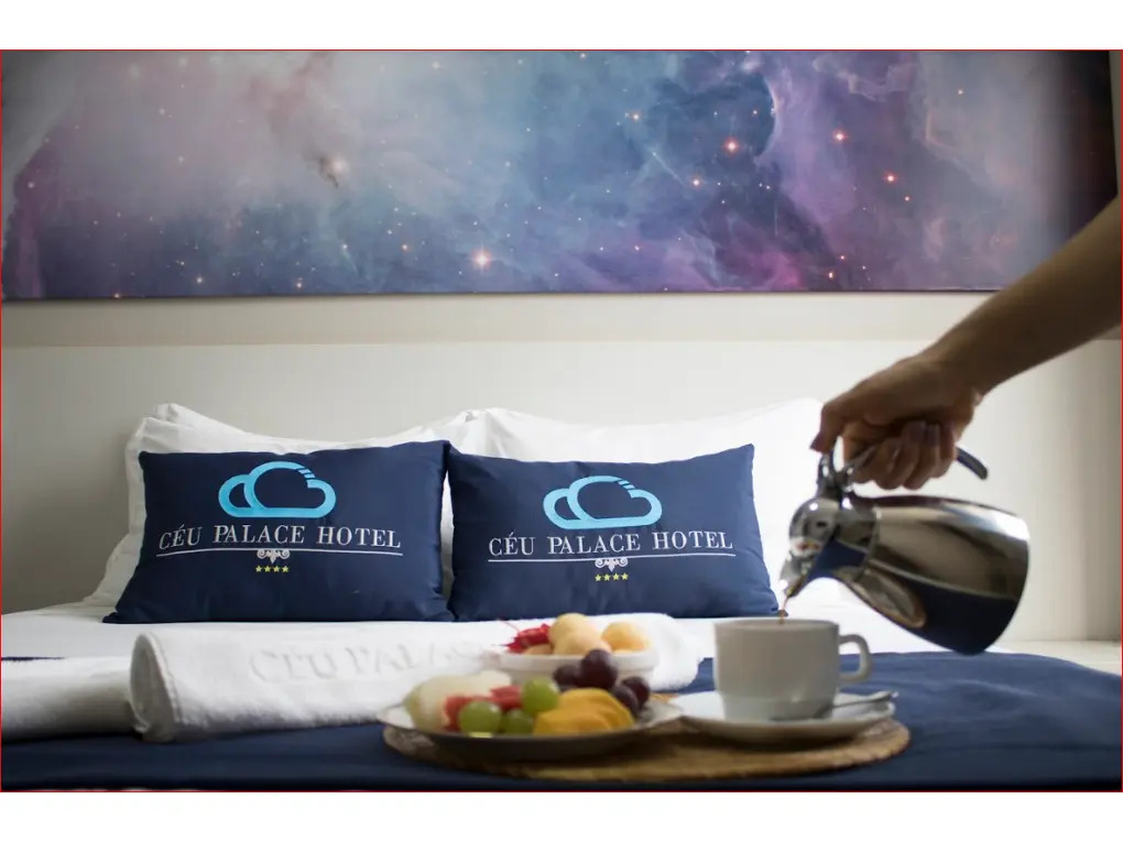 Céu Palmas Hotel