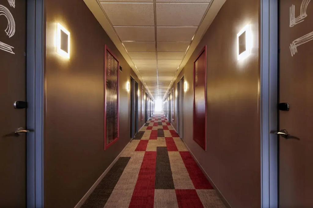 Ibis Torreon