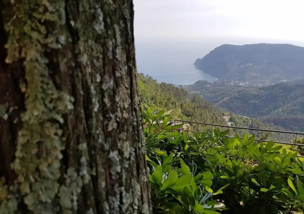 Santuario Nostra Signora di Soviore