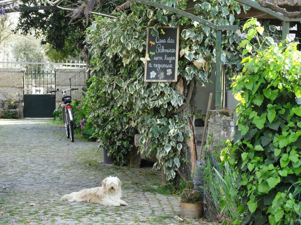 Casa Das Palmeiras-Pedagogic Farm