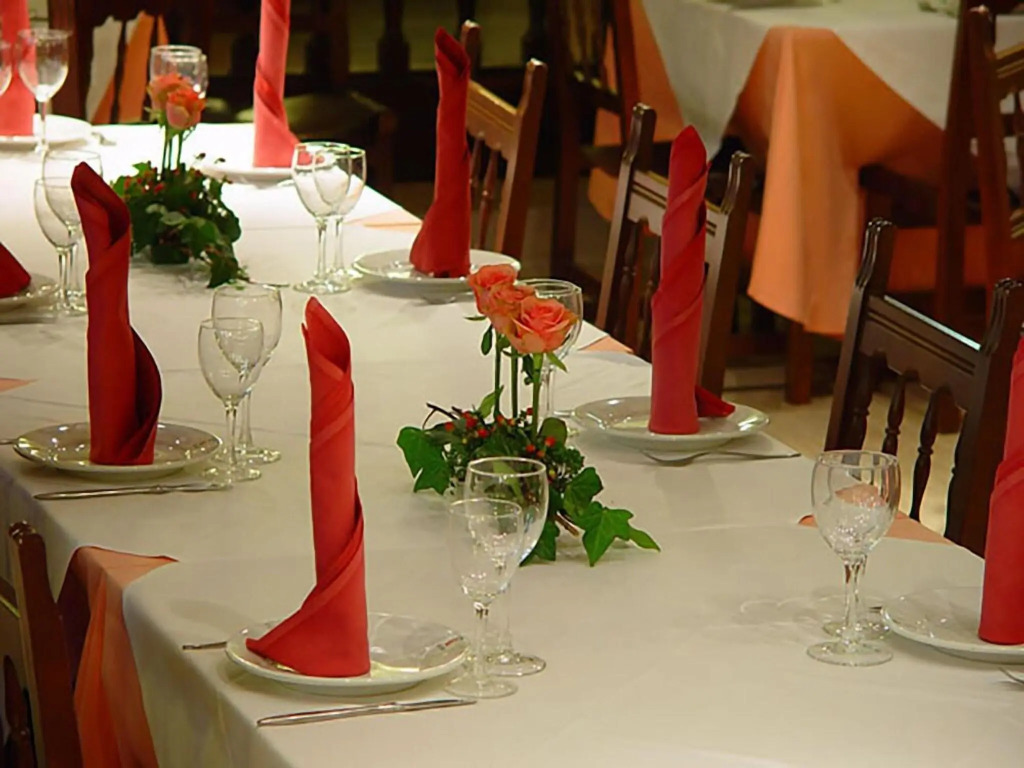 Hotel Nuevo Arlanza