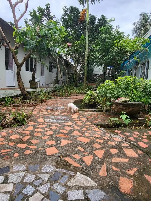 Davi hostel