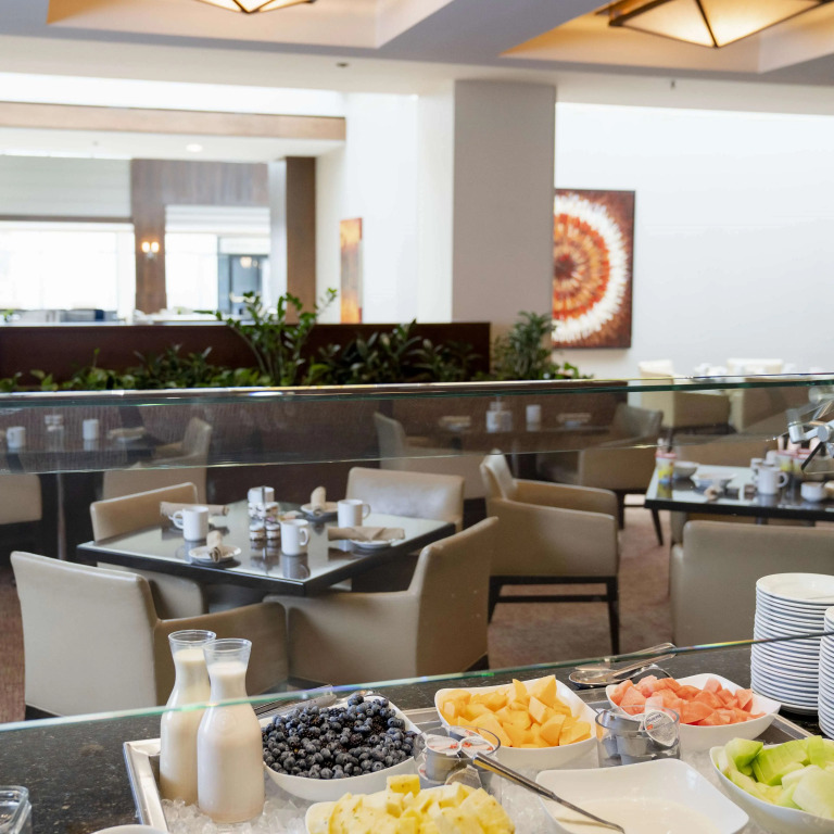 Hyatt Regency Lisle near Naperville