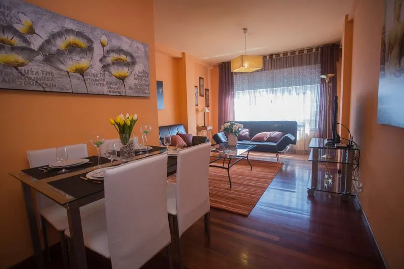 Apartment in Santiago de Compostela 100698