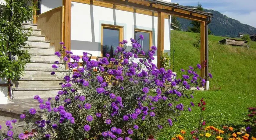 Ferienhaus Joel