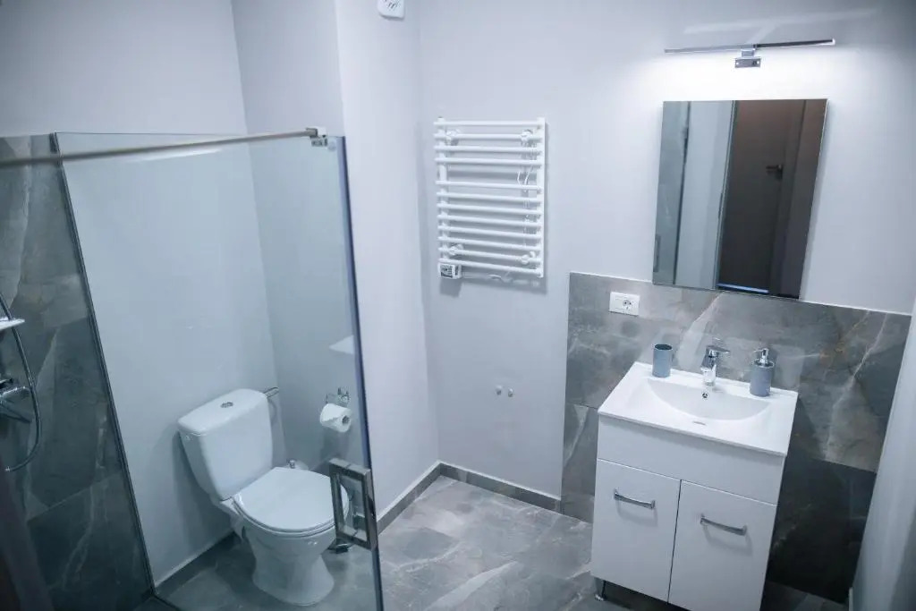 BlueSky Premium Apartment Baile Felix