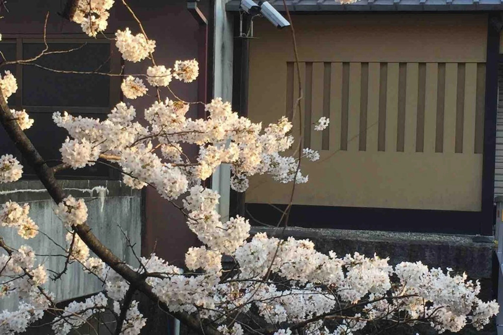 Kyomachiya Amanogawa - Vacation STAY 69288v