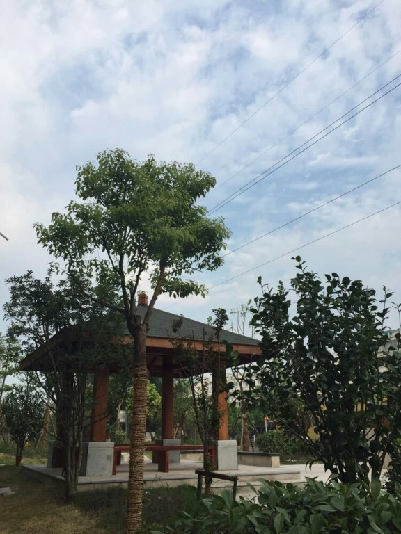 Letu first home inn xiaoshan Airport