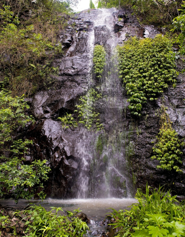Nimbin waterfall retreat