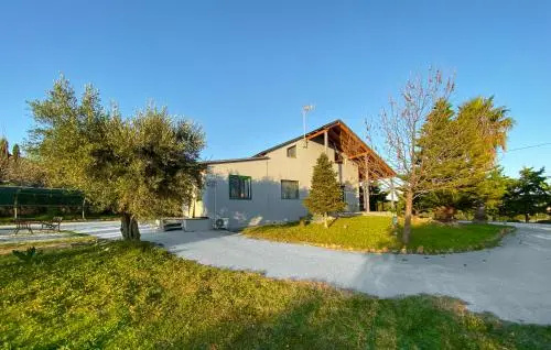 Olive Grove