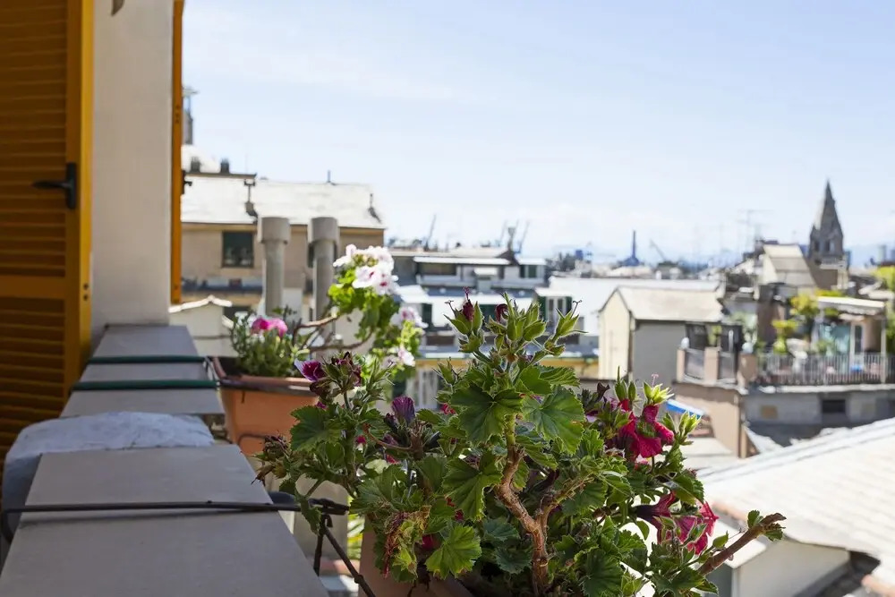 Appartamento con Vista in XXV Aprile