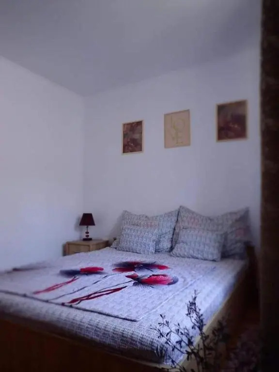 Vila 2-ANA
