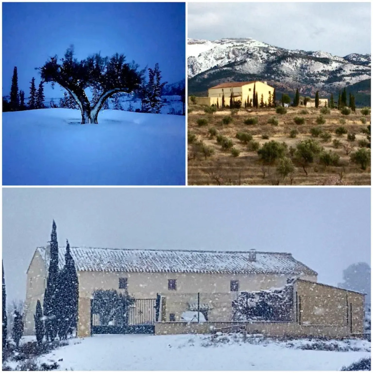 Luxury Villa in Zarzadilla de Totana with Pool