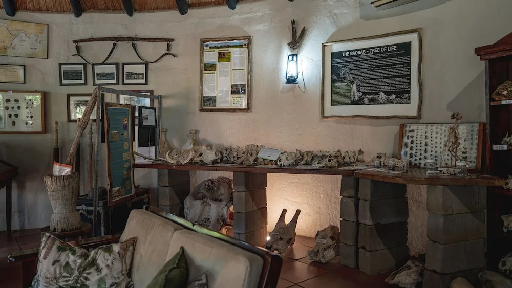Mashatu Lodge