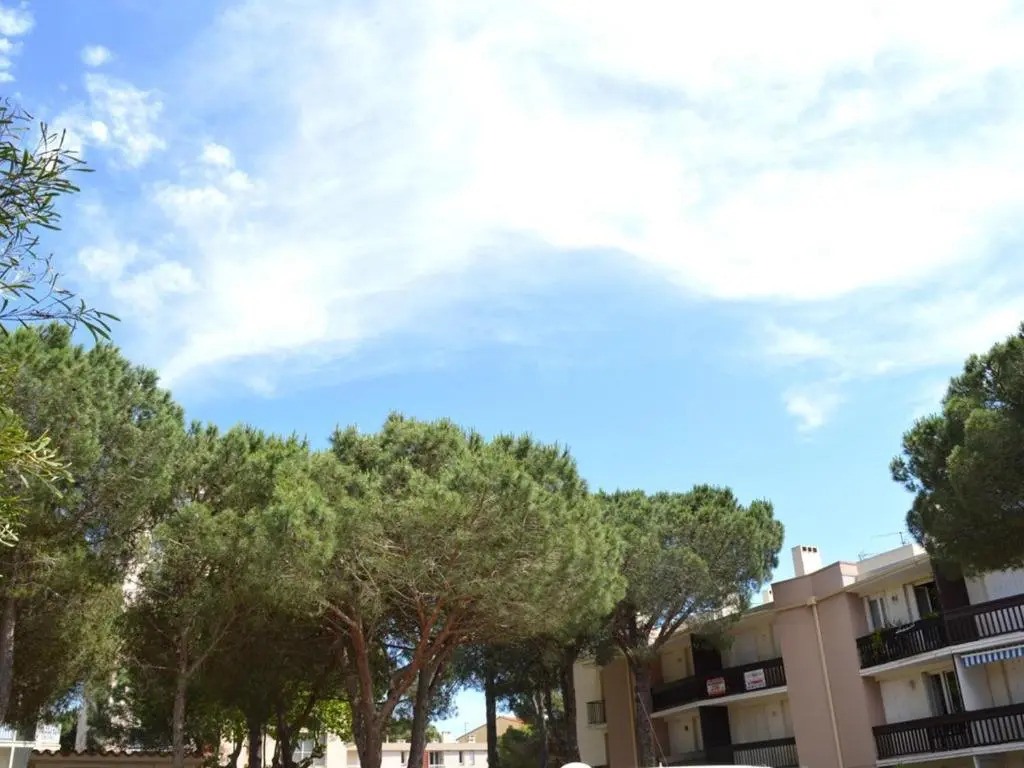 Appartement Argelès-sur-Mer, 2 pièces, 4 personnes - FR-1-225-501