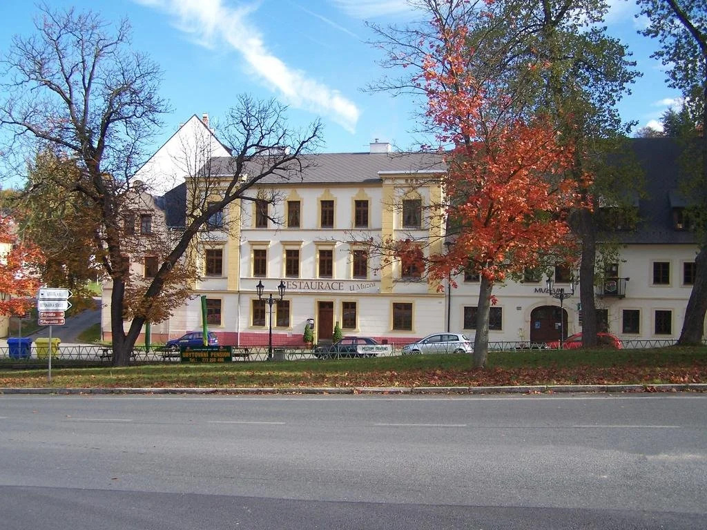 Restaurace U Muzea