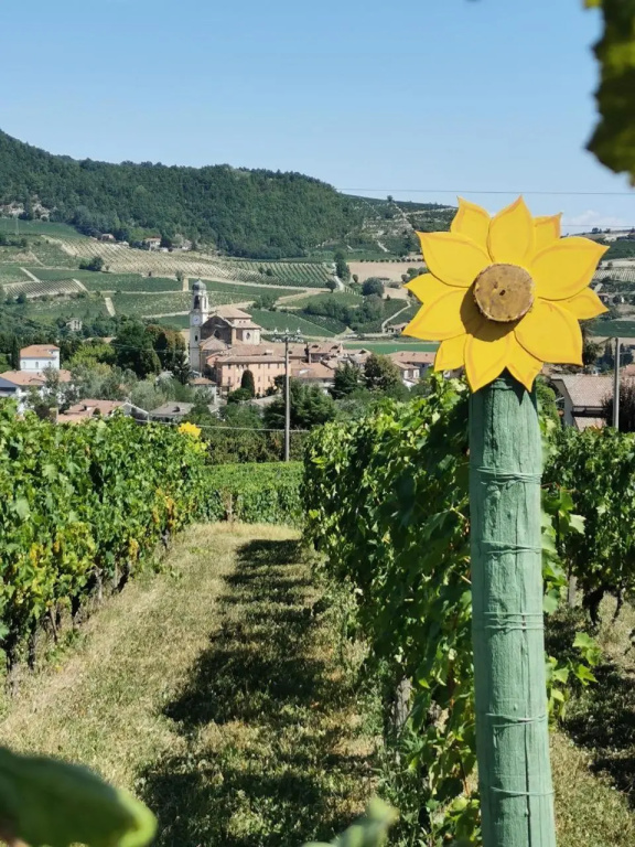 Agriturismo Mondo