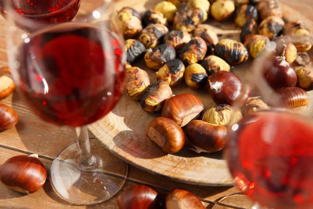 Panoramic Suites Winzerhöhe