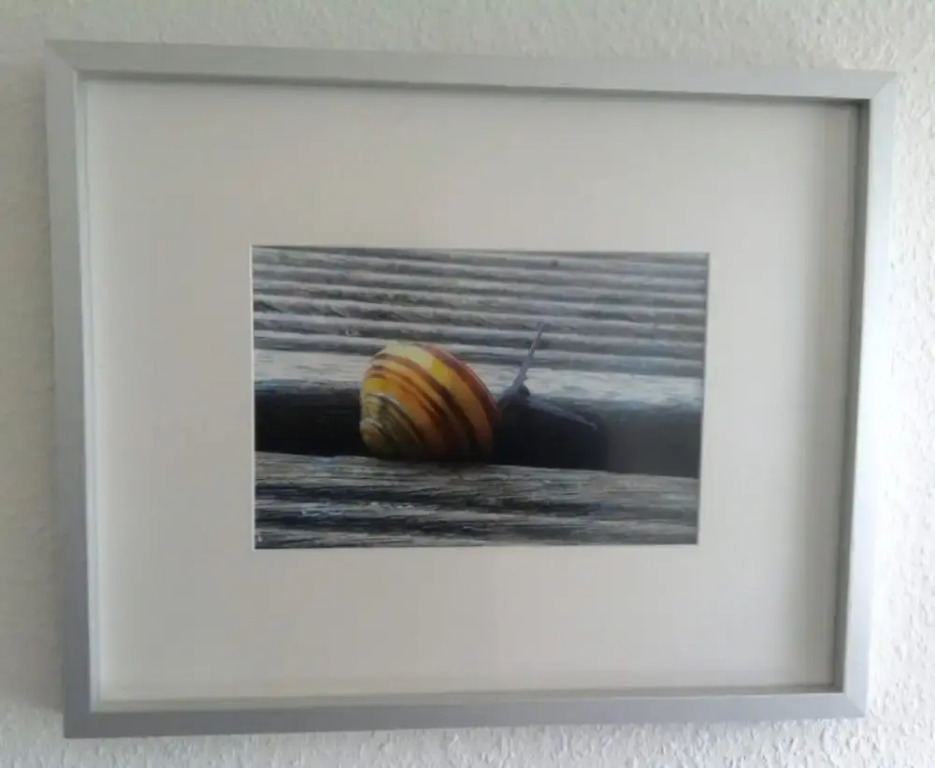 Quiet Holiday Home in Fliemstorf Germany near Beach