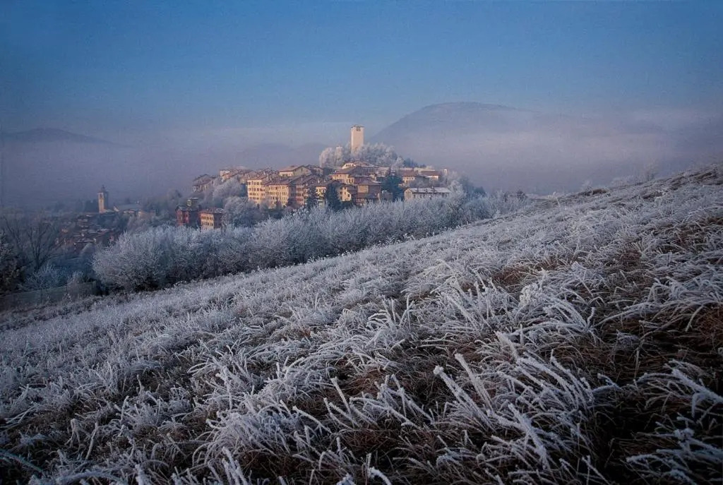 Feltre House