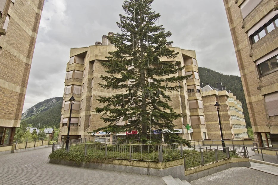 Apartamento Irissa
