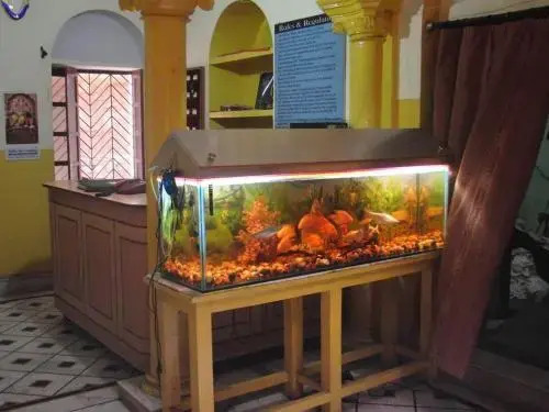 Shivakashi Guest House