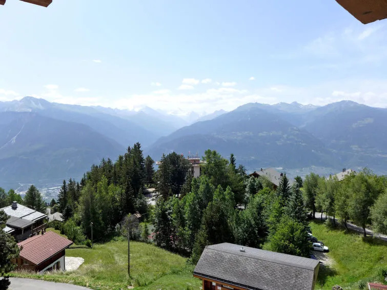 Les Pins Crans-montana