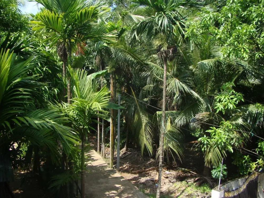 Bentota River Dilu Villa