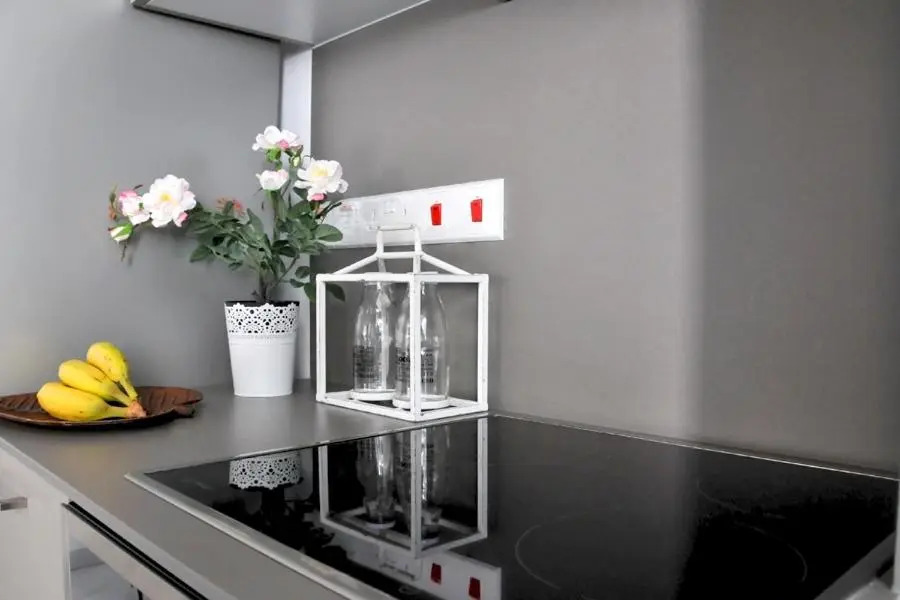 Zenobia Luxury City/Beach Apts No.1