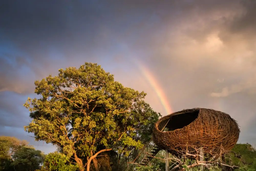 Chisa Busanga Camp