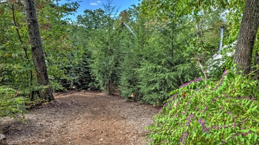Wild Turkey's Roost - 1 Br Cabin