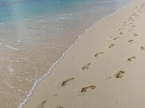Appartement aan het strand De Zeemeermin