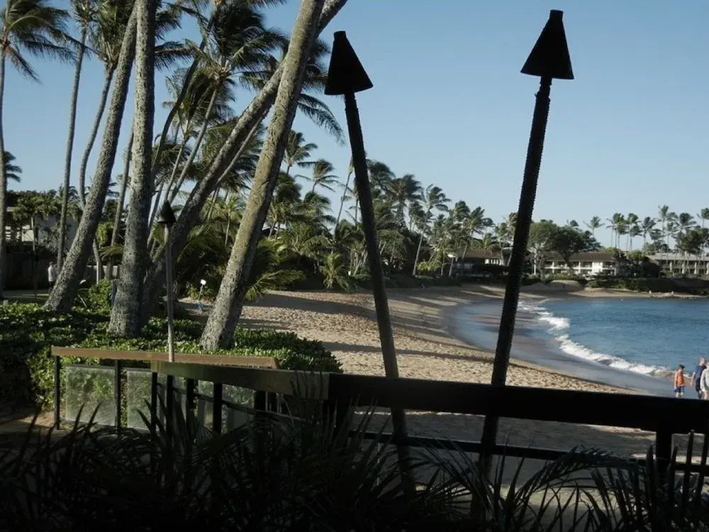 Kaleialoha #214 1 Bedroom 1 Bathroom Condo by Redawning