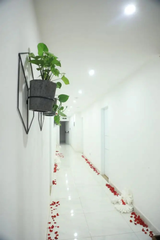 Elmo's Hotel