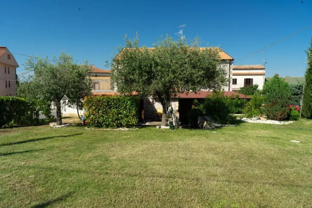Bed & Breakfast Mafi