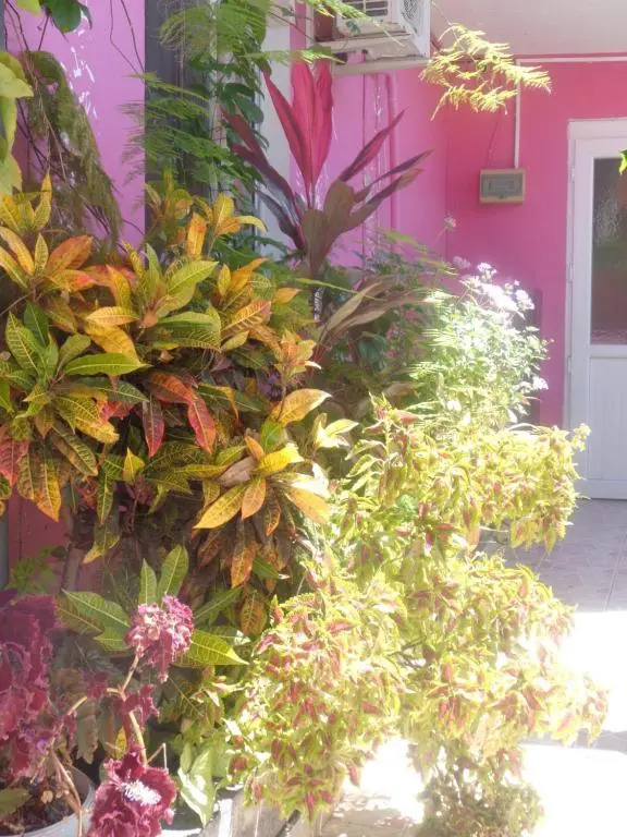 Residence Madelia