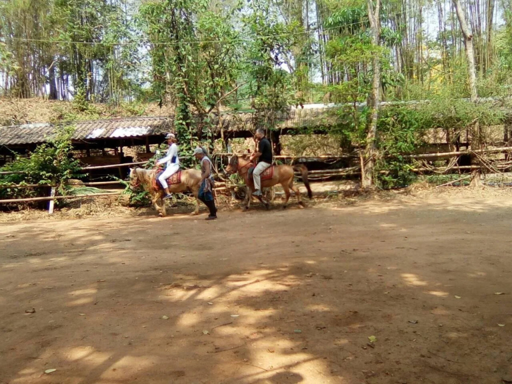 Phu Chaisai Mountain Resort Chiang Rai