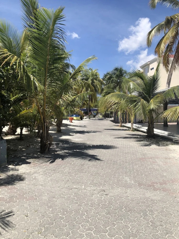 Immaculate 1-bed Apartment on Ocean View