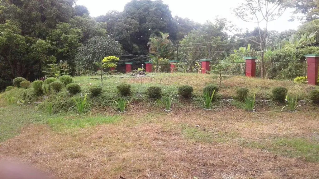 Johns M Den Tagaytay City