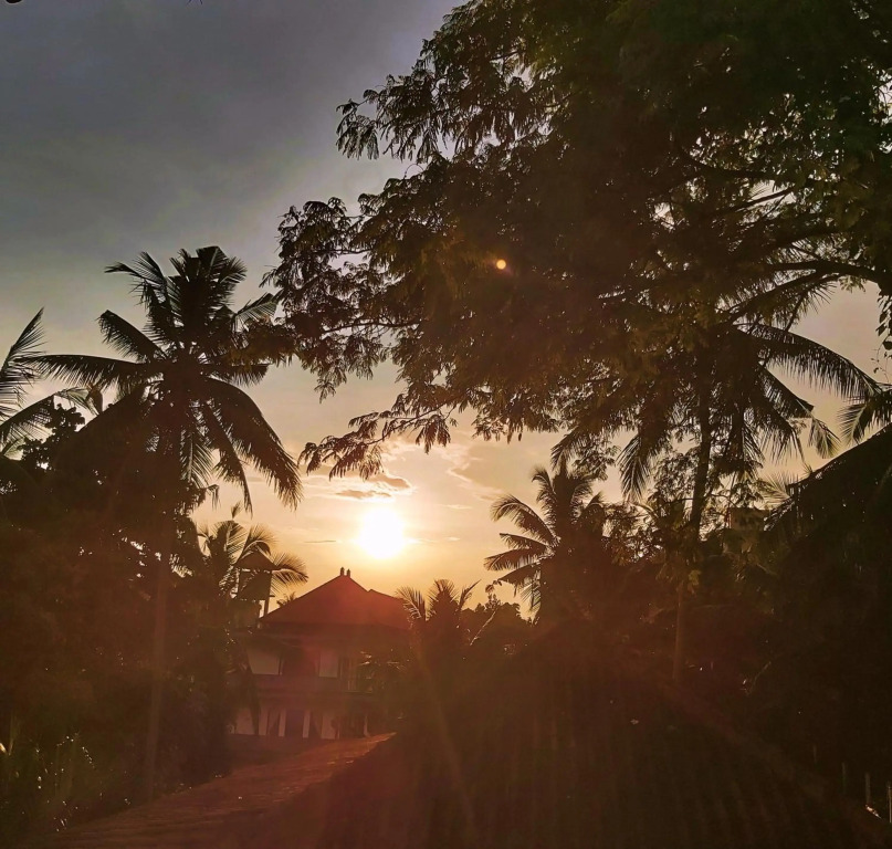 Danaya's Cottage and Studio