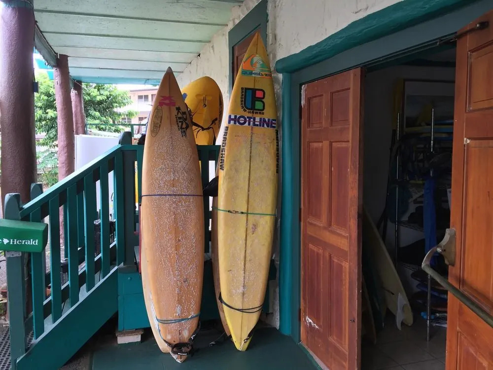 Wild Ginger Inn Hostel