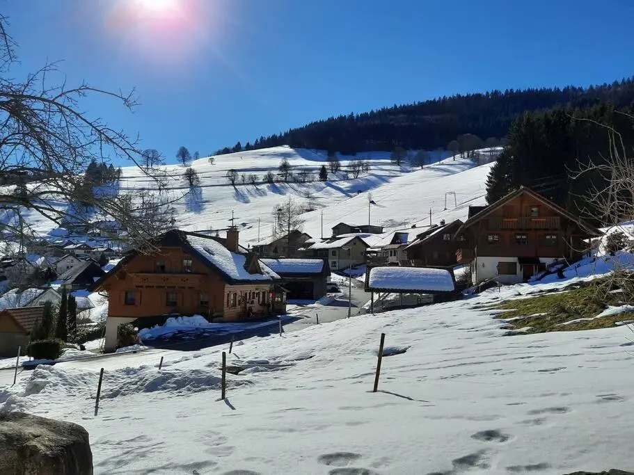 2-Zimmer Ferienwohnung-Einklang im schönen Südschwarzwald