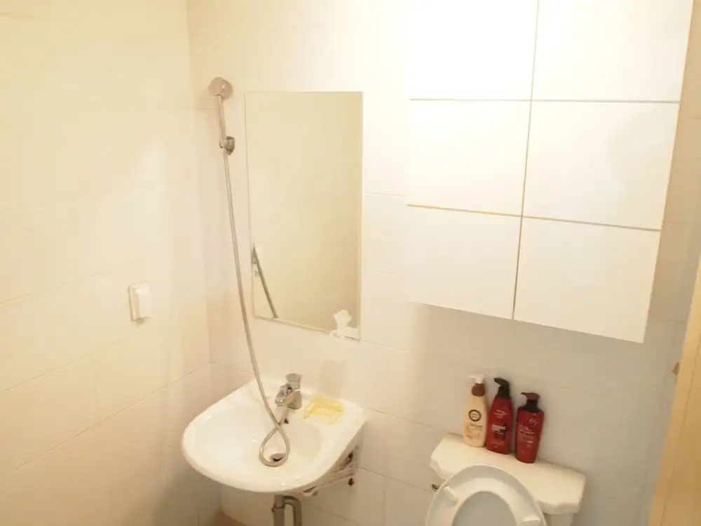 Central Apartment