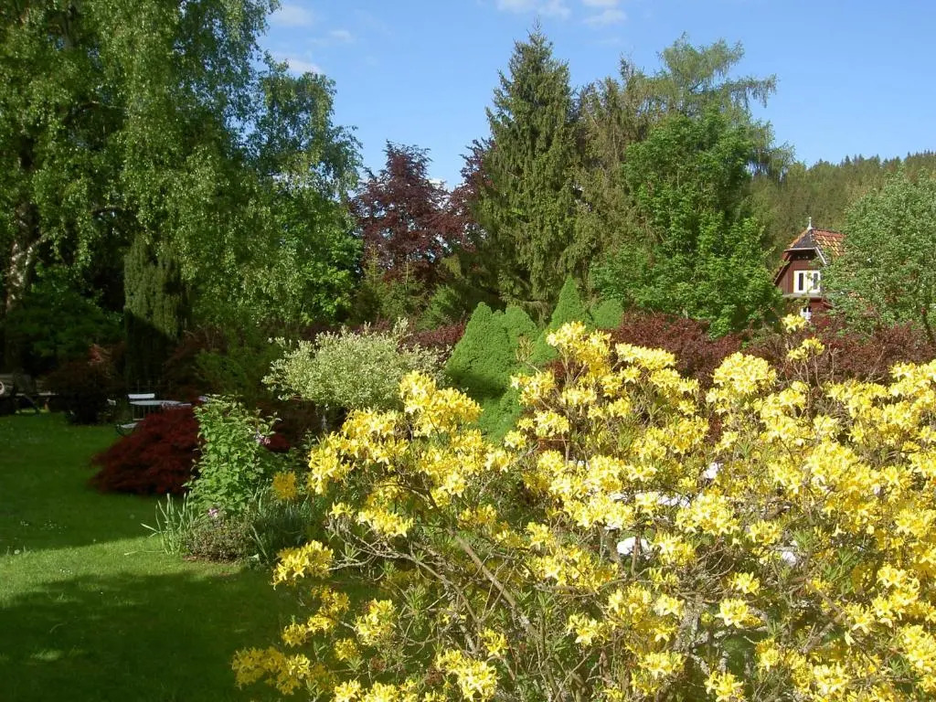 Pension Waldesblick
