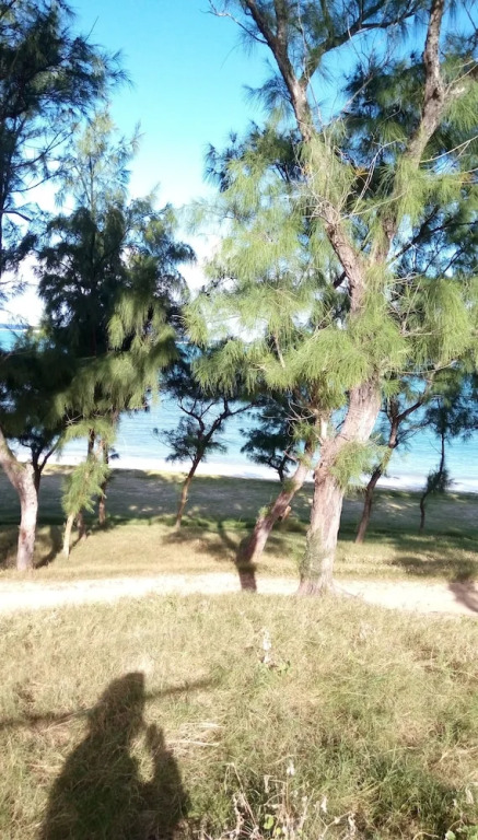 Bed and Breakfast Waterfront - Rodrigues Island