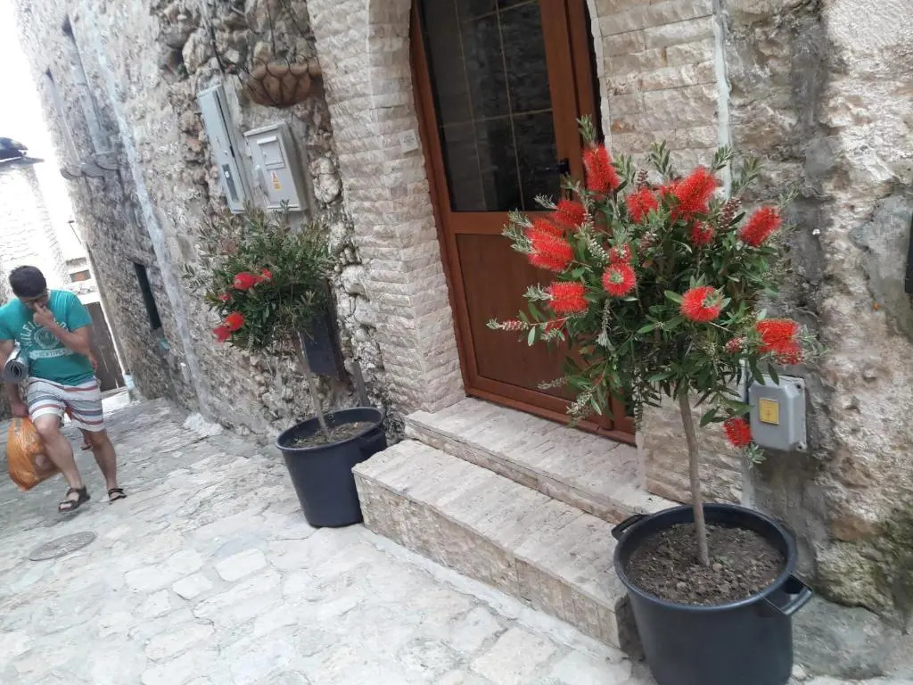 Apartments Debora