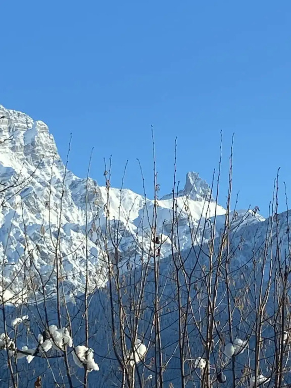 Little Chalet Piguet