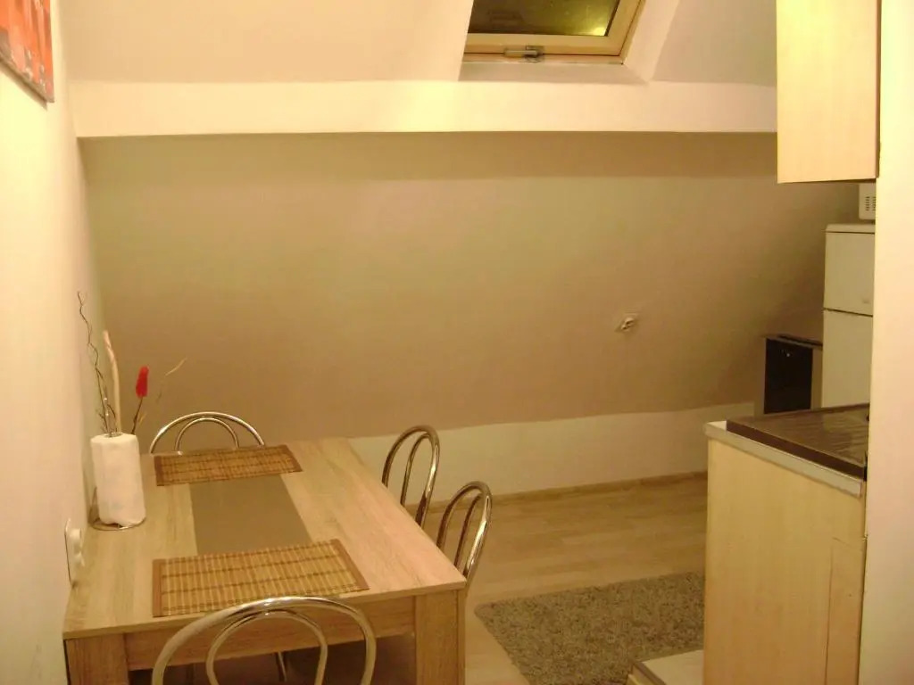 Apartment Attic